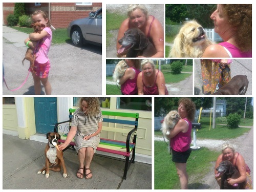Dog collage -2